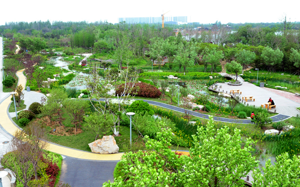 蒙城西片區中心公園